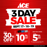 ACE Hardware – 3-Day Sale: Get Up to 30% Off