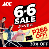 ACE Hardware – 6.6 Deal: Get 30% Off on Selected Items