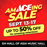ACE Hardware AmACEing Sale