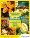 Cebu Pacific Air – July Seat Sale